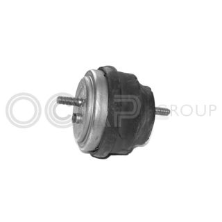 Variklio montavimas OCAP 1225122