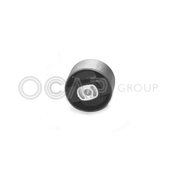 Variklio montavimas OCAP 1225144