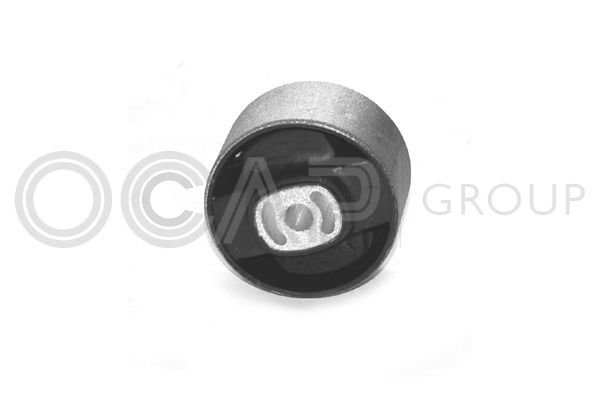 Variklio montavimas OCAP 1225144