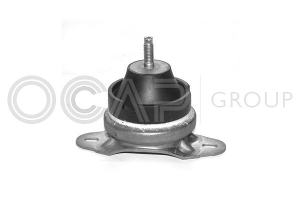 Variklio montavimas OCAP 1225148