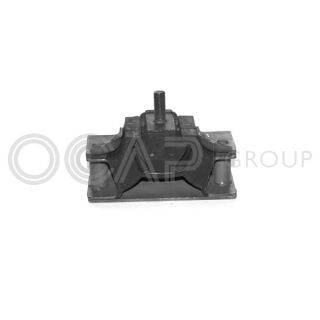 Variklio montavimas OCAP 1225156