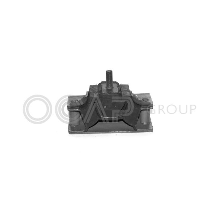 Variklio montavimas OCAP 1225156