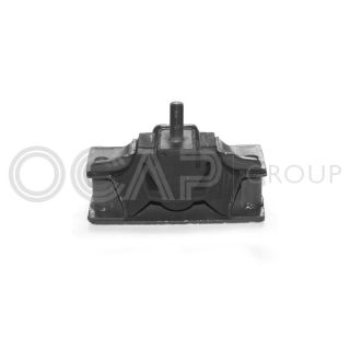 Variklio montavimas OCAP 1225158