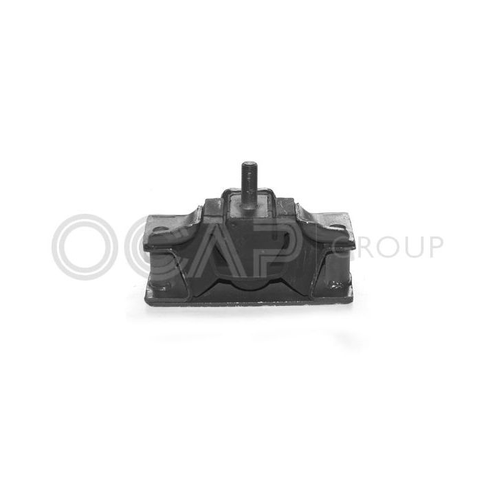 Variklio montavimas OCAP 1225158