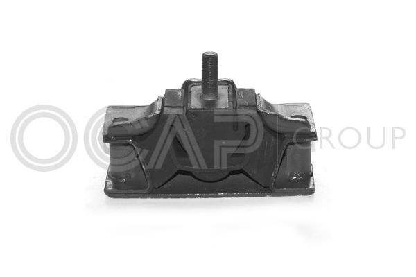 Variklio montavimas OCAP 1225158