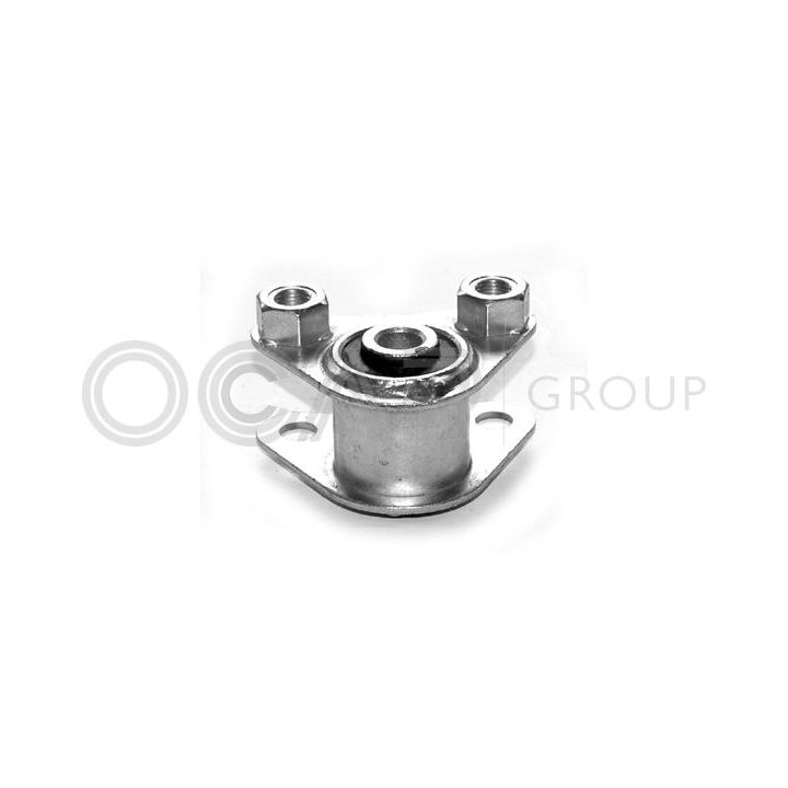 Variklio montavimas OCAP 1225160