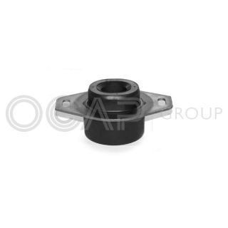 Variklio montavimas OCAP 1225163