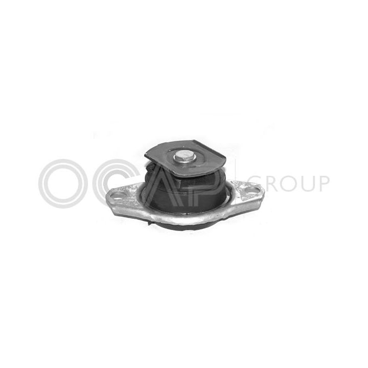 Variklio montavimas OCAP 1225169