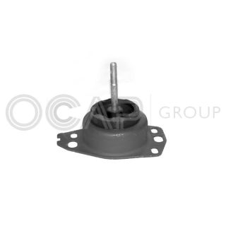 Variklio montavimas OCAP 1225173