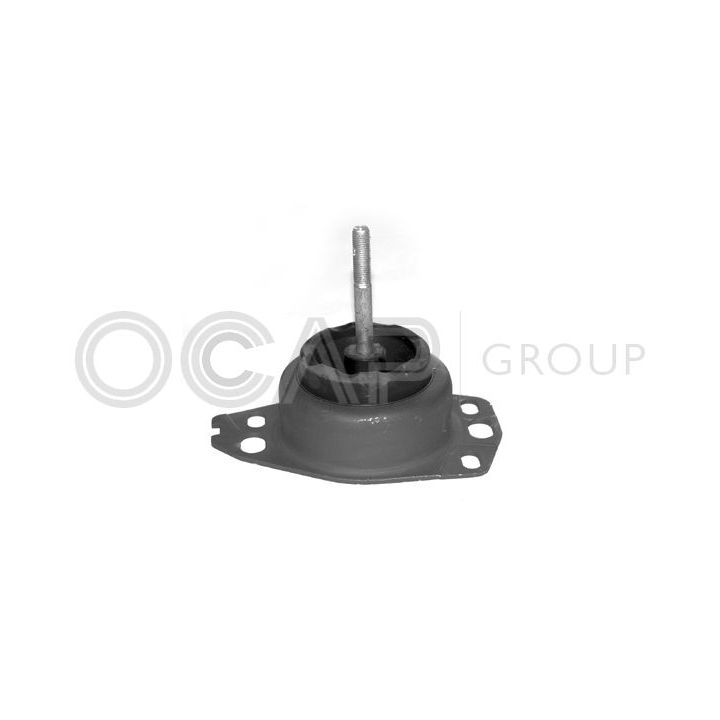 Variklio montavimas OCAP 1225173