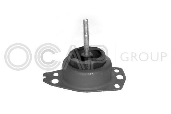 Variklio montavimas OCAP 1225173