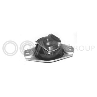 Variklio montavimas OCAP 1225174