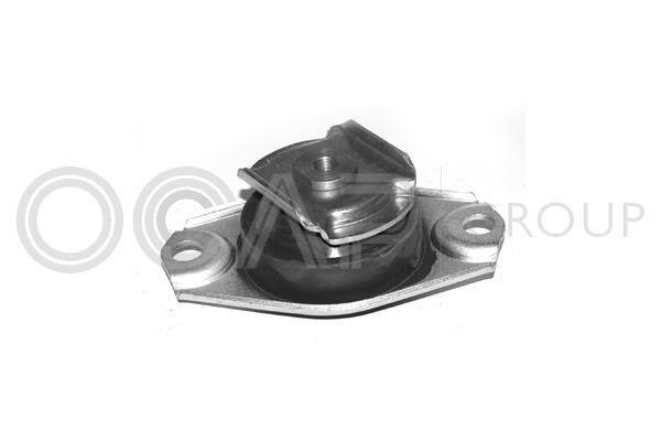 Variklio montavimas OCAP 1225174