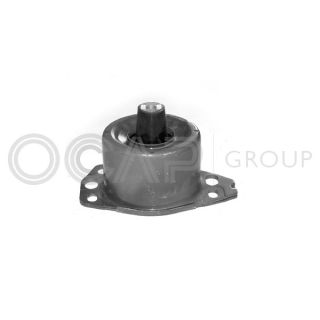 Variklio montavimas OCAP 1225176