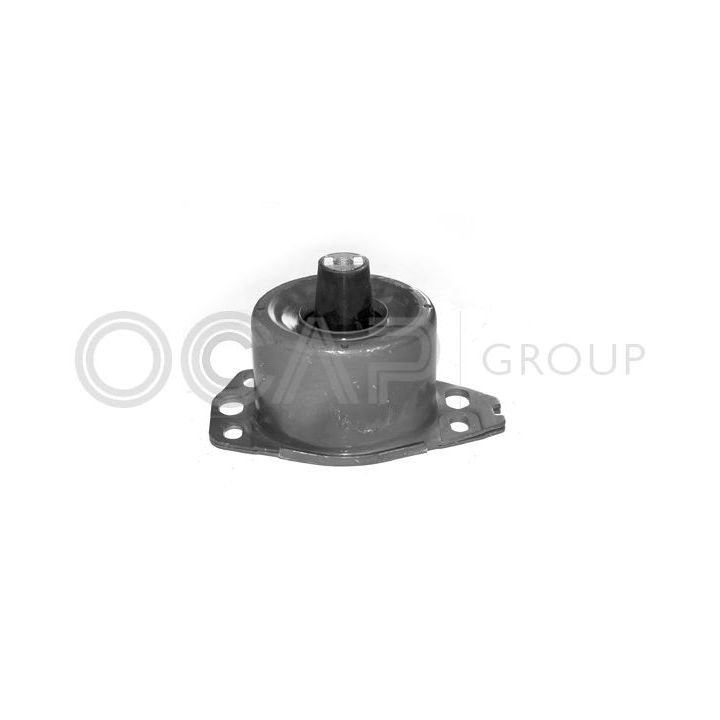 Variklio montavimas OCAP 1225176