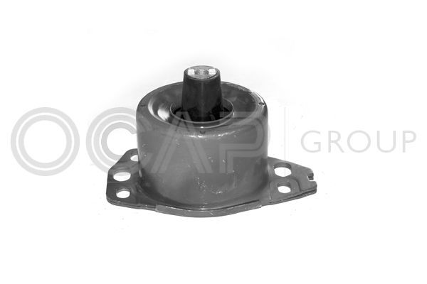 Variklio montavimas OCAP 1225176