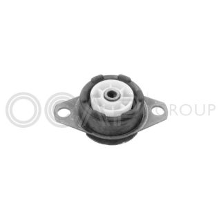 Variklio montavimas OCAP 1225179