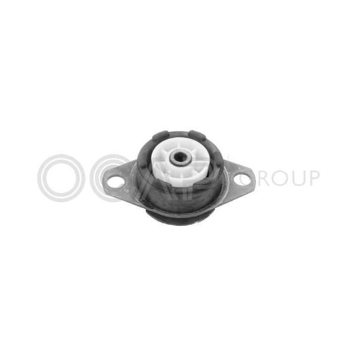 Variklio montavimas OCAP 1225179