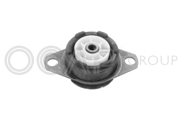 Variklio montavimas OCAP 1225179