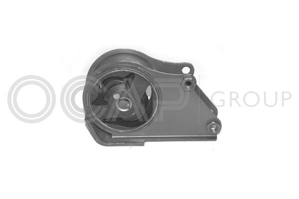 Variklio montavimas OCAP 1225180