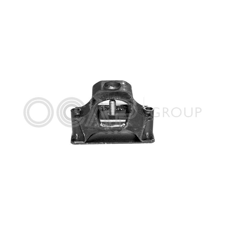 Variklio montavimas OCAP 1225182