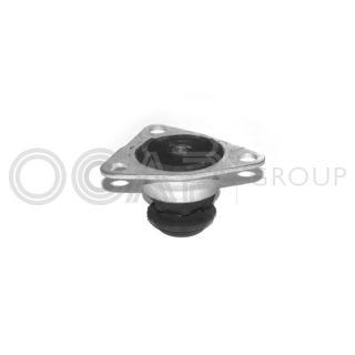 Variklio montavimas OCAP 1225189
