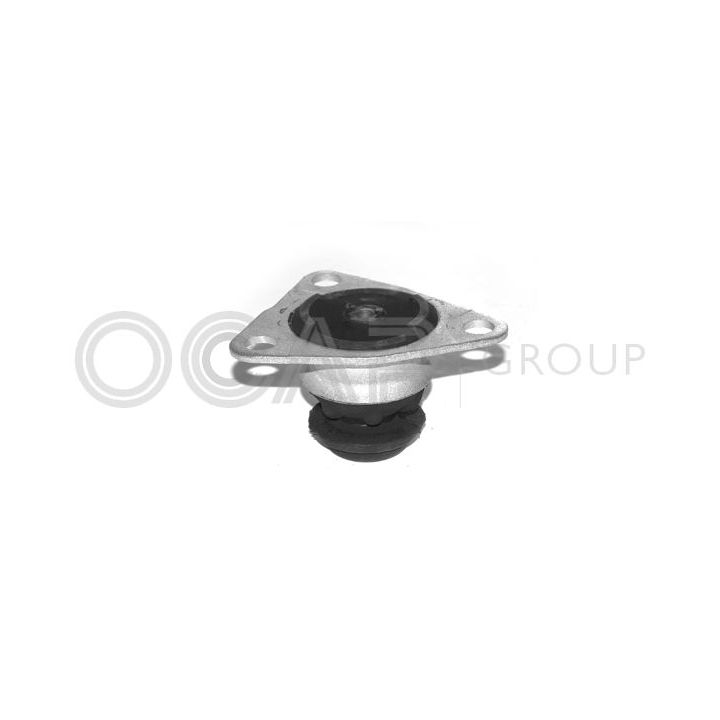 Variklio montavimas OCAP 1225189