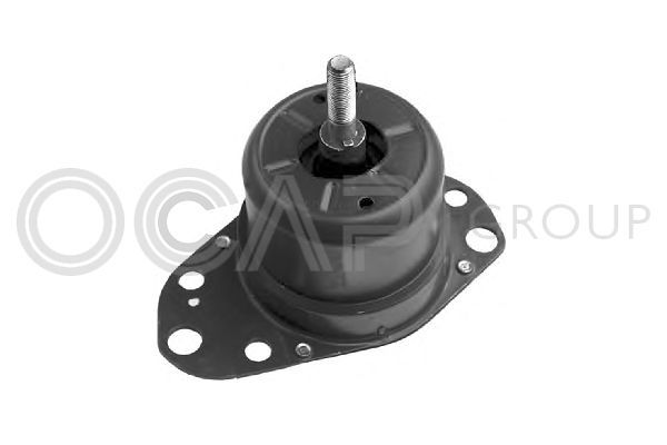 Variklio montavimas OCAP 1225190