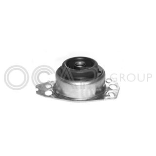 Variklio montavimas OCAP 1225194