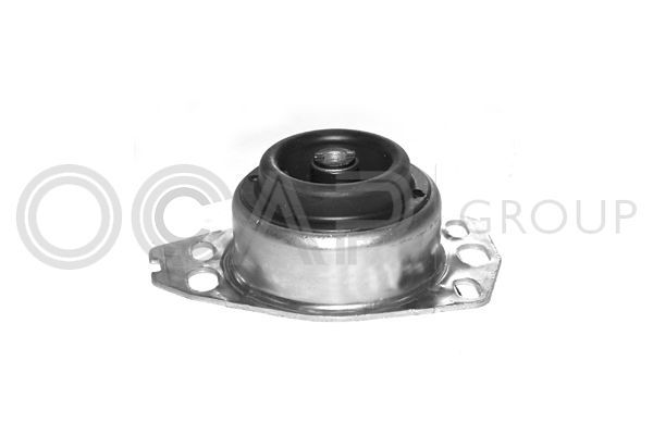 Variklio montavimas OCAP 1225194