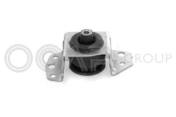 Variklio montavimas OCAP 1225195