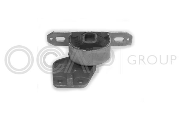 Variklio montavimas OCAP 1225228