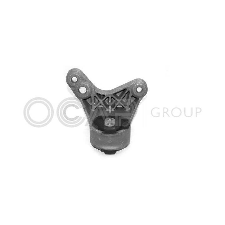 Variklio montavimas OCAP 1225229