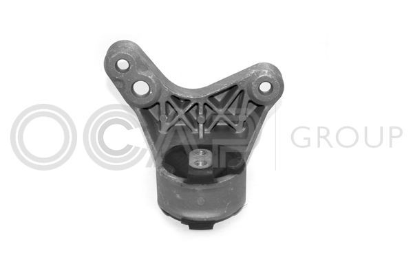 Variklio montavimas OCAP 1225229