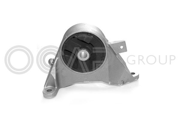 Variklio montavimas OCAP 1225414