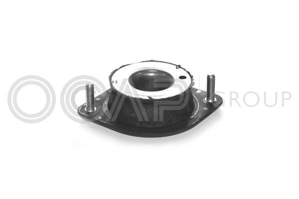 Variklio montavimas OCAP 1225431