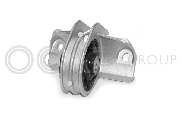 Variklio montavimas OCAP 1225432