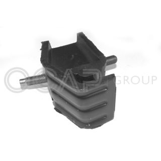 Variklio montavimas OCAP 1225434