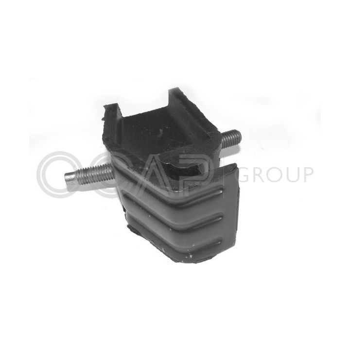 Variklio montavimas OCAP 1225434