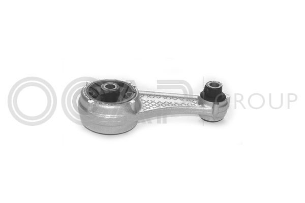 Variklio montavimas OCAP 1225435