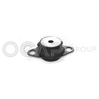 Variklio montavimas OCAP 1225437