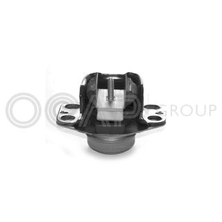 Variklio montavimas OCAP 1225438