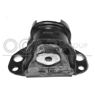 Variklio montavimas OCAP 1225440