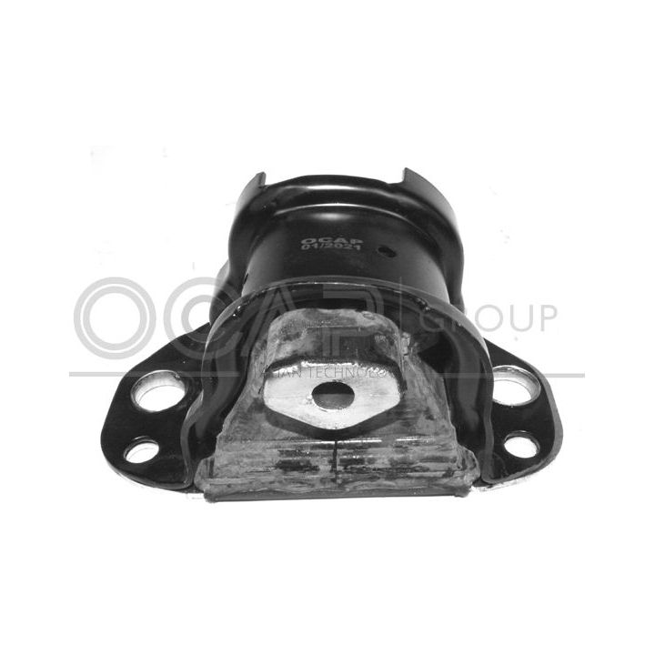 Variklio montavimas OCAP 1225440