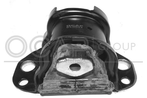 Variklio montavimas OCAP 1225440