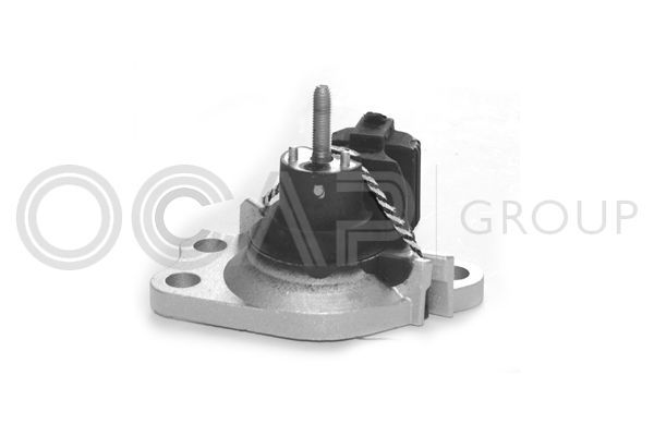 Variklio montavimas OCAP 1225441