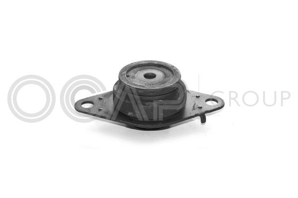 Variklio montavimas OCAP 1225450