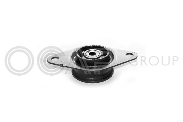 Variklio montavimas OCAP 1225452