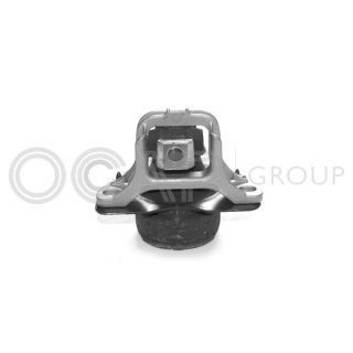 Variklio montavimas OCAP 1225453