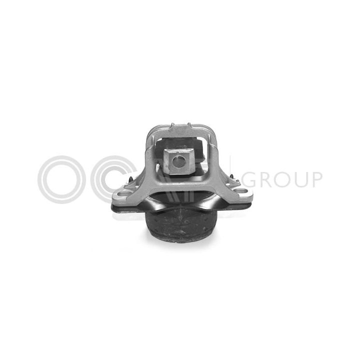 Variklio montavimas OCAP 1225453